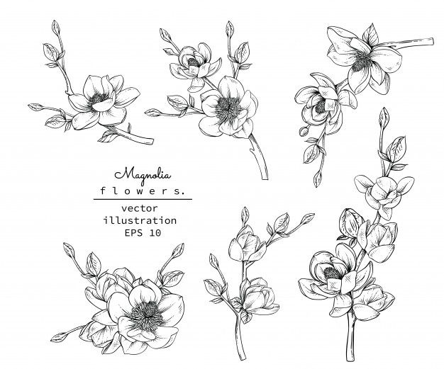 Magnolia Tattoo 192