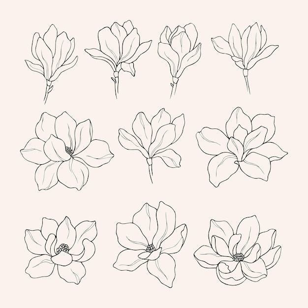 Magnolia Tattoo 211