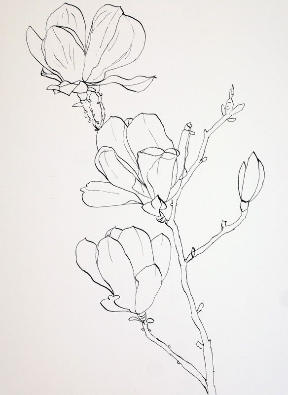 Magnolia Tattoo 230