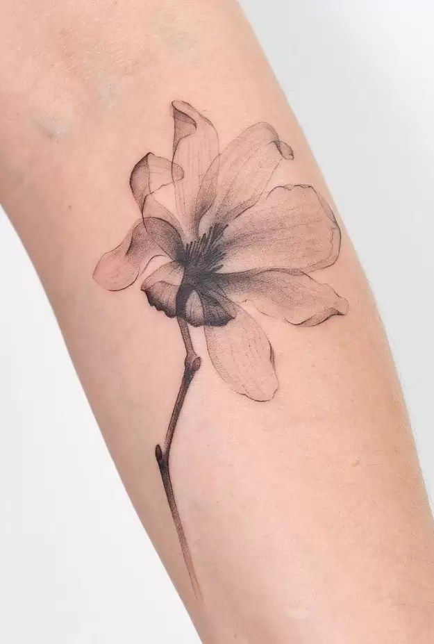Magnolia Tattoo 232