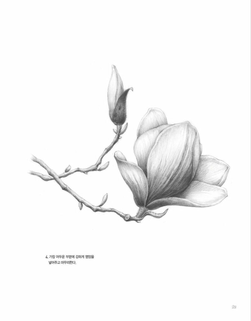 Magnolia Tattoo 239