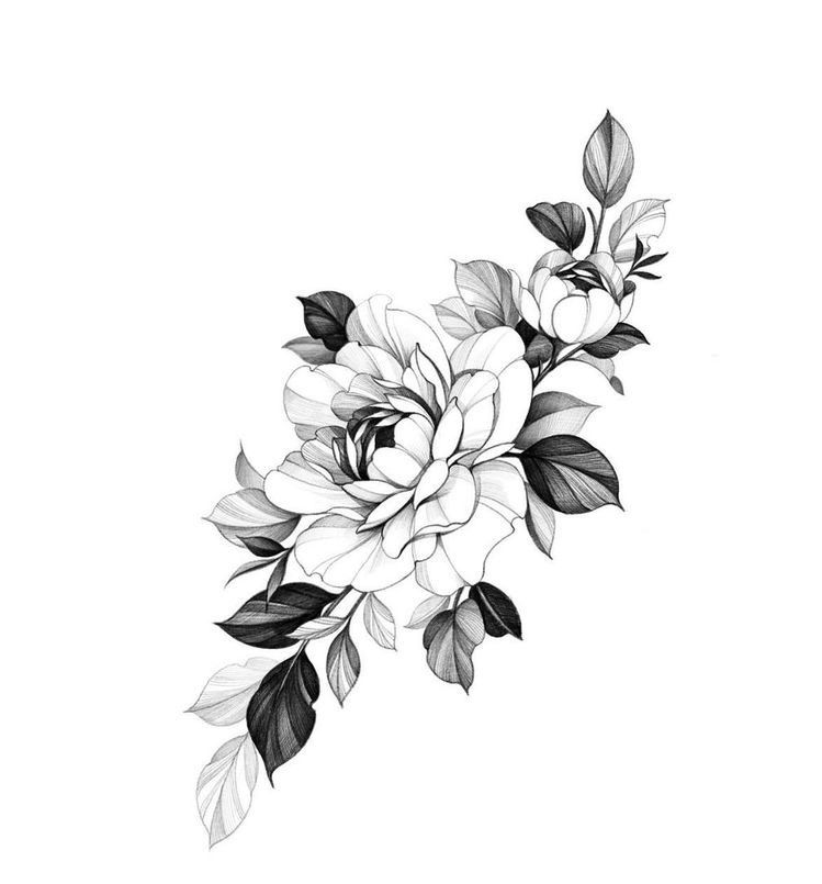 Magnolia Tattoo 255