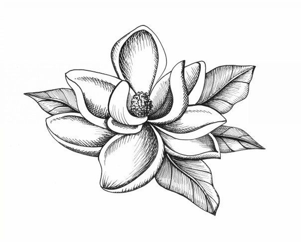 Magnolia Tattoo 266