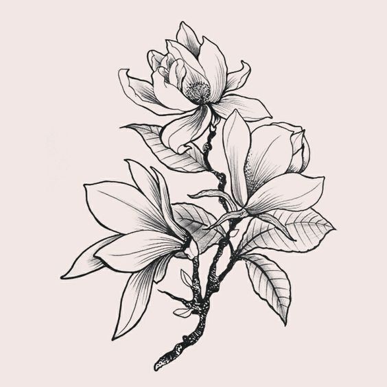 Magnolia Tattoo 272