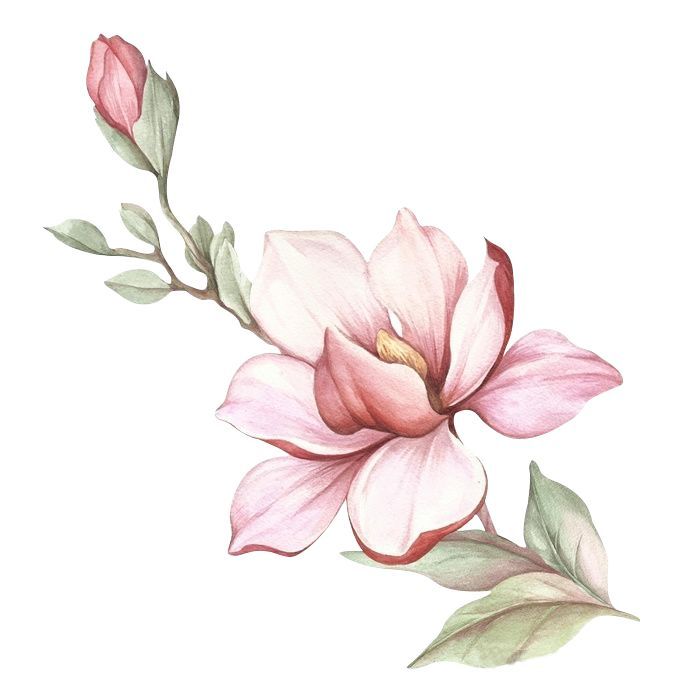 Magnolia Tattoo 292