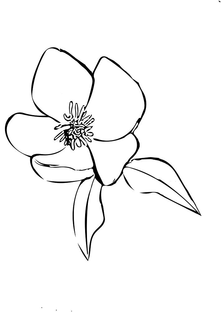 Magnolia Tattoo 296