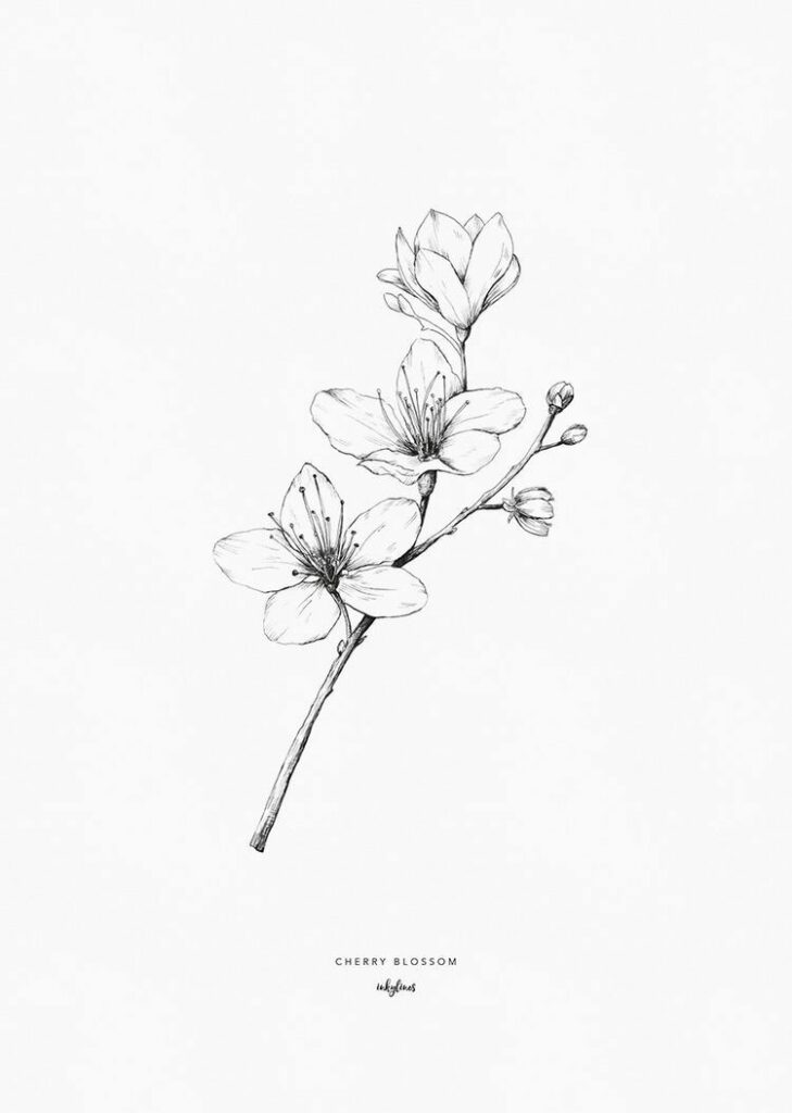 Magnolia Tattoo 306