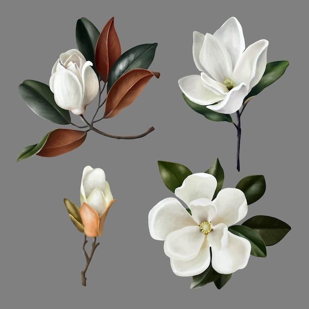 Magnolia Tattoo 315
