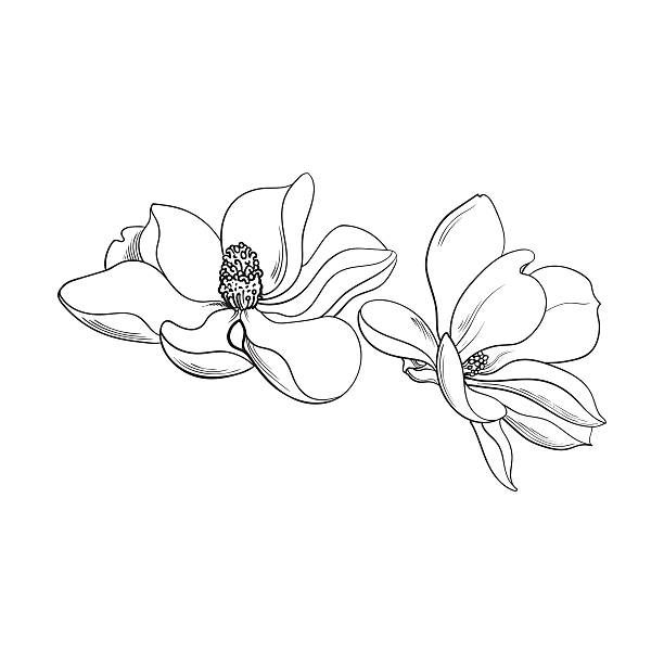 Magnolia Tattoo 335