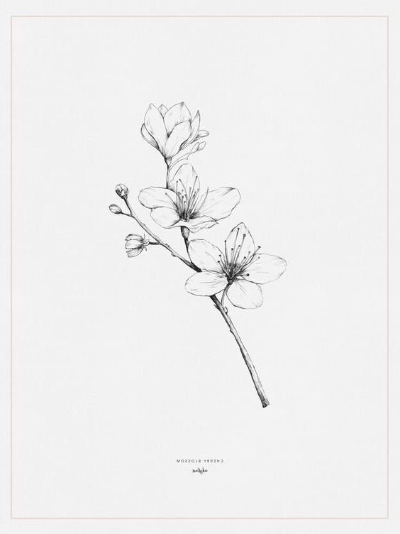 Magnolia Tattoo 344
