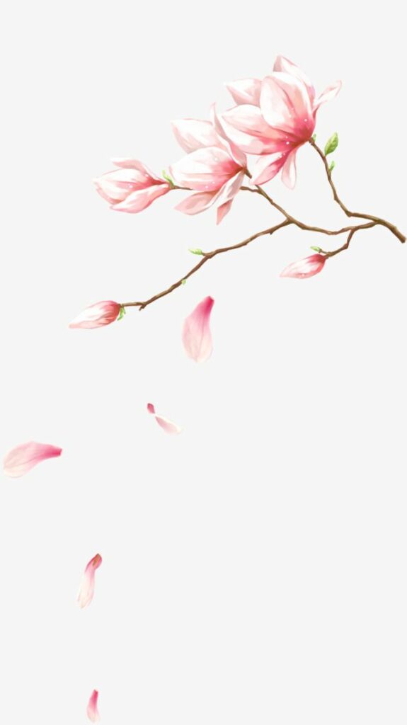 Magnolia Tattoo 351