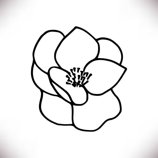Magnolia Tattoo 353
