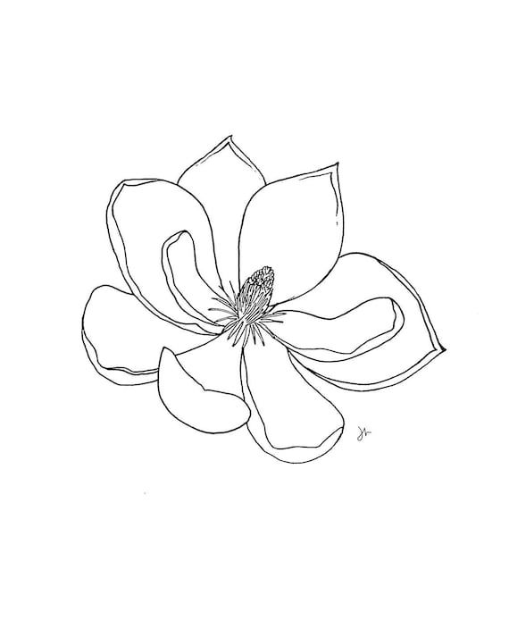 Magnolia Tattoo 355