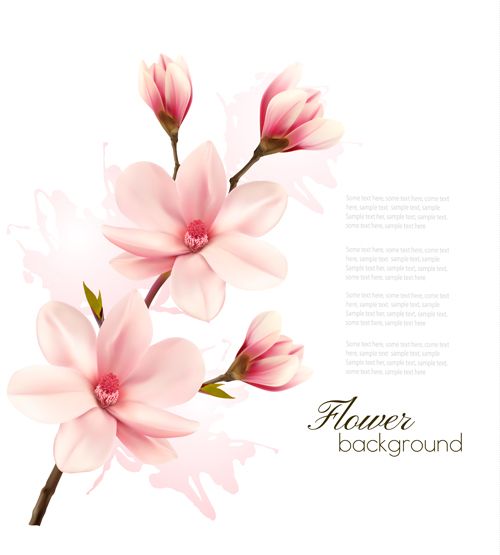 Magnolia Tattoo 356