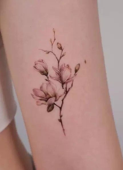 Magnolia Tattoo 371