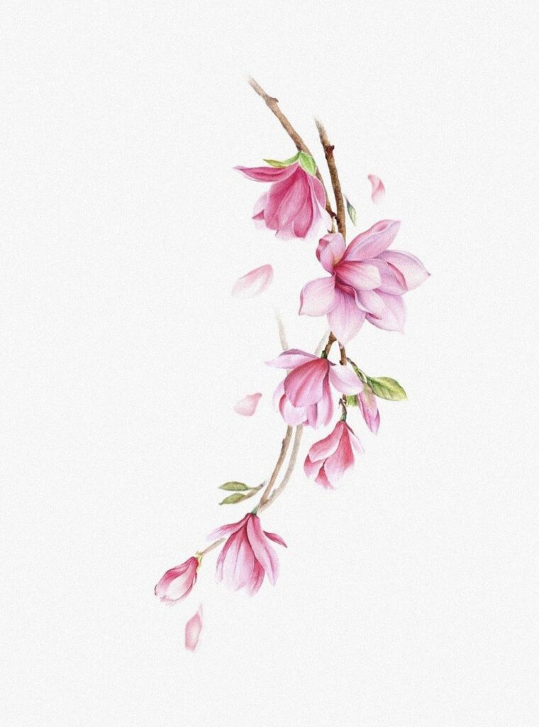 Magnolia Tattoo 45