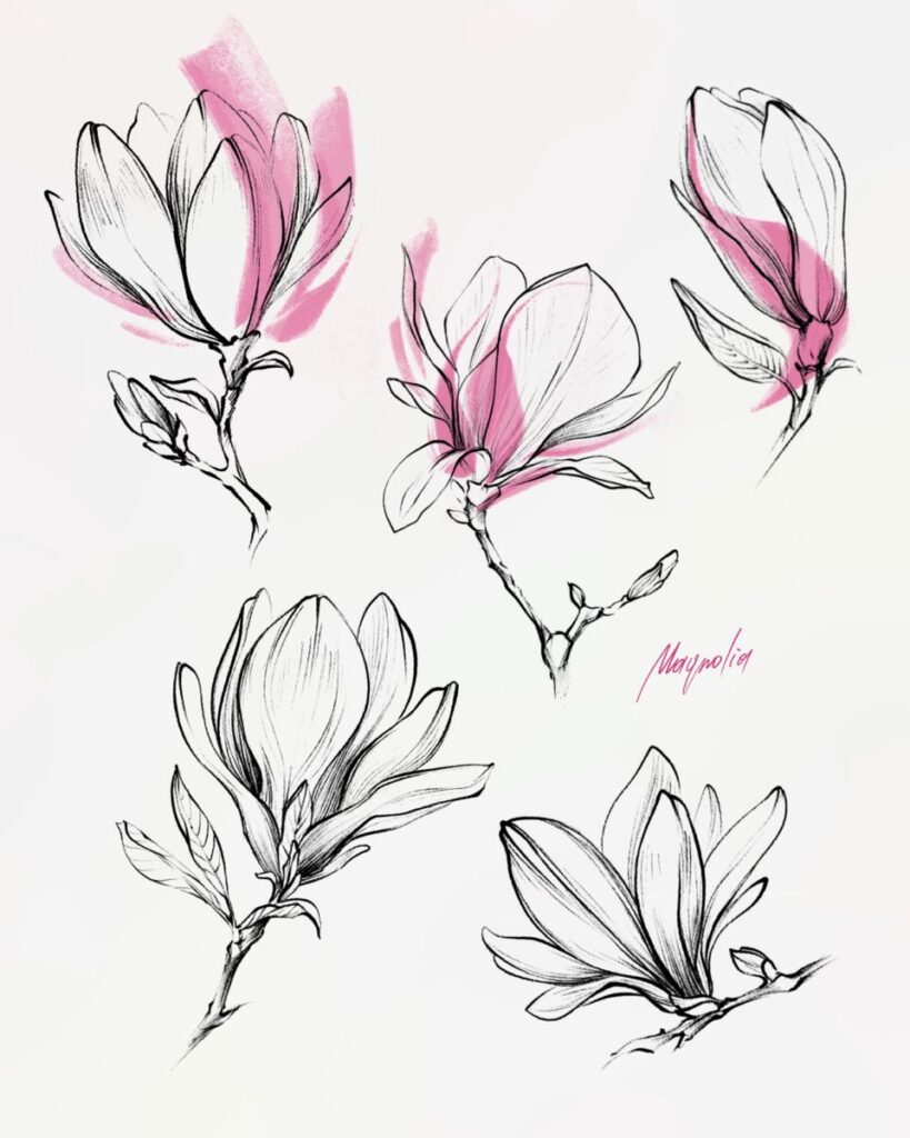 Magnolia Tattoo 74