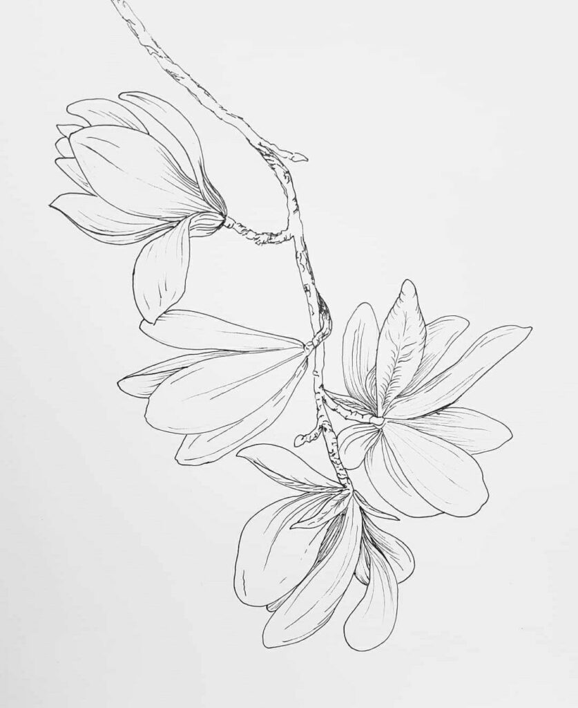 Magnolia Tattoo 79