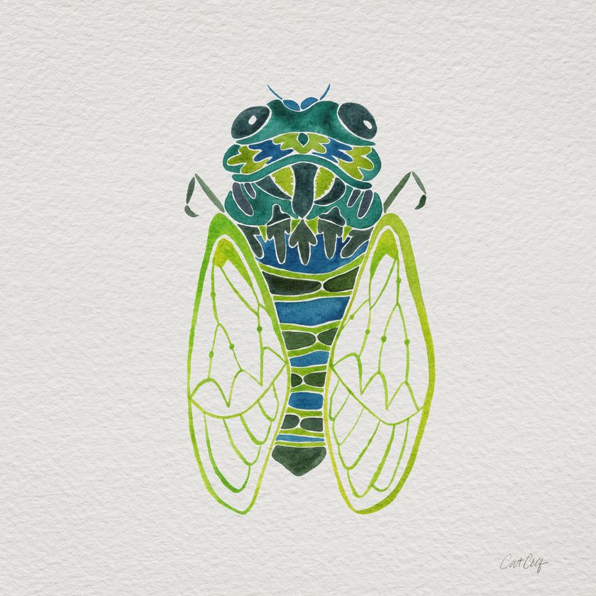 Cicada Tattoos 105