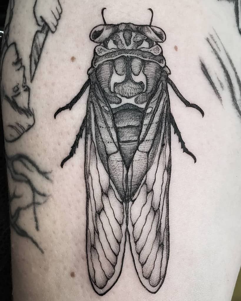 Cicada Tattoos 112
