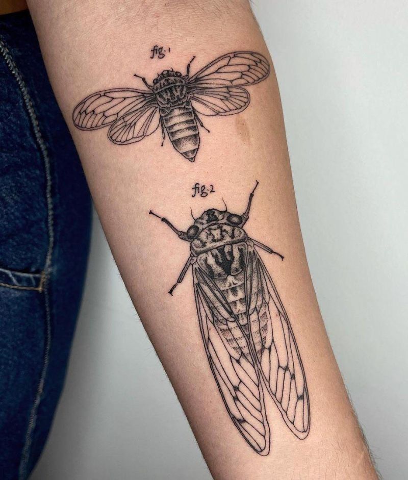 Cicada Tattoos 113