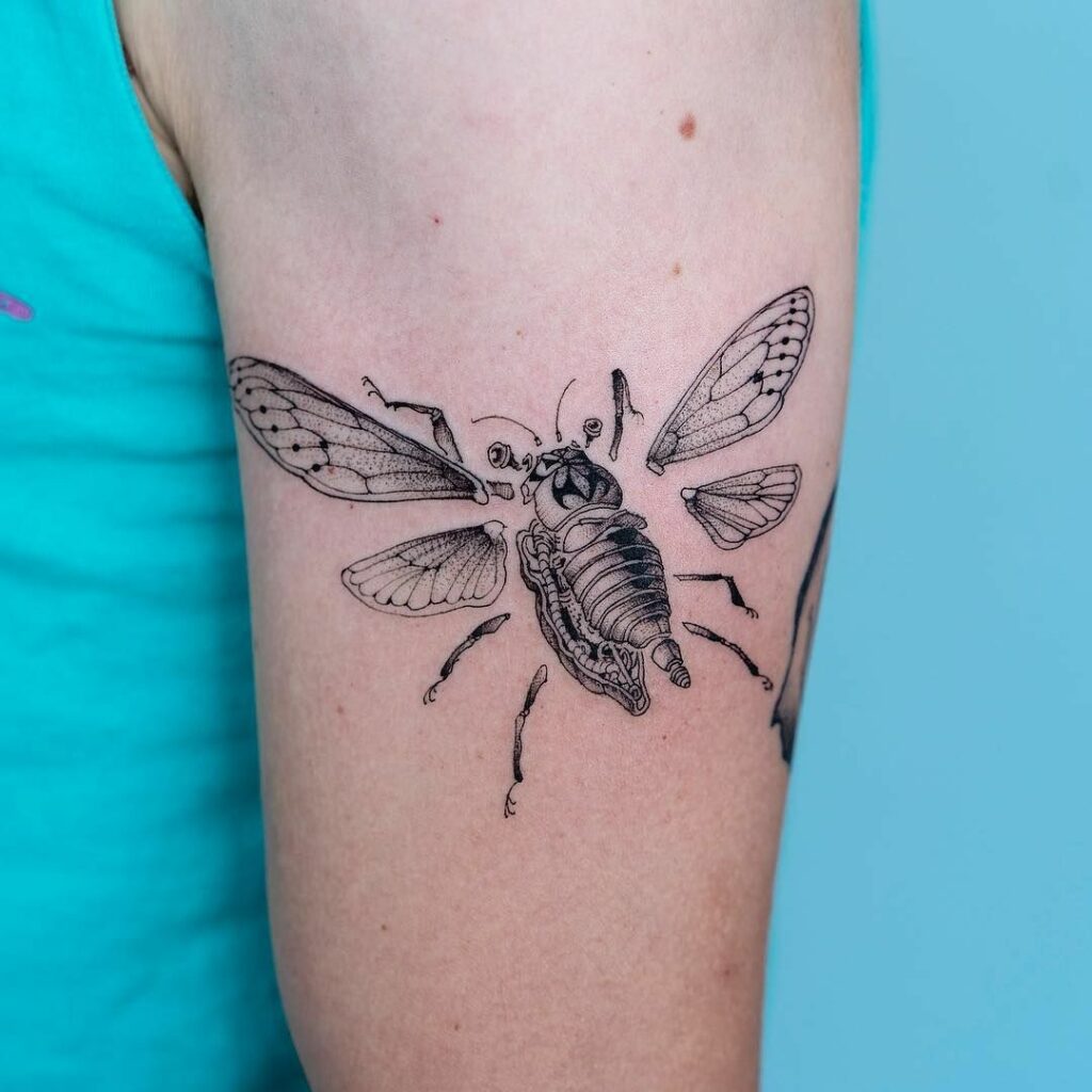 Cicada Tattoos 119