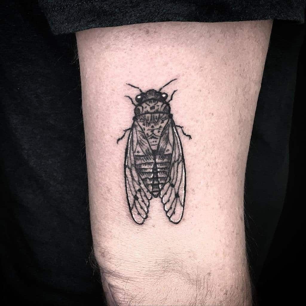 Cicada Tattoos 124