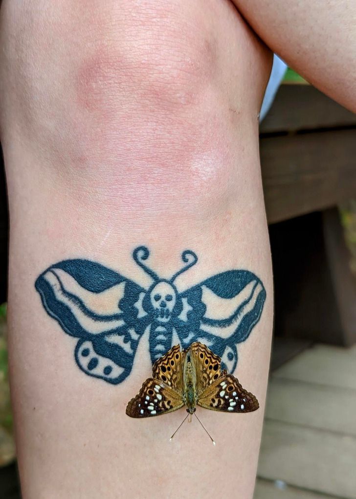 Cicada Tattoos 126