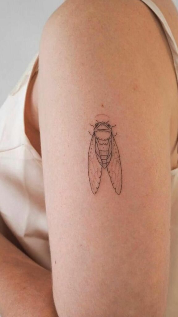 Cicada Tattoos 127