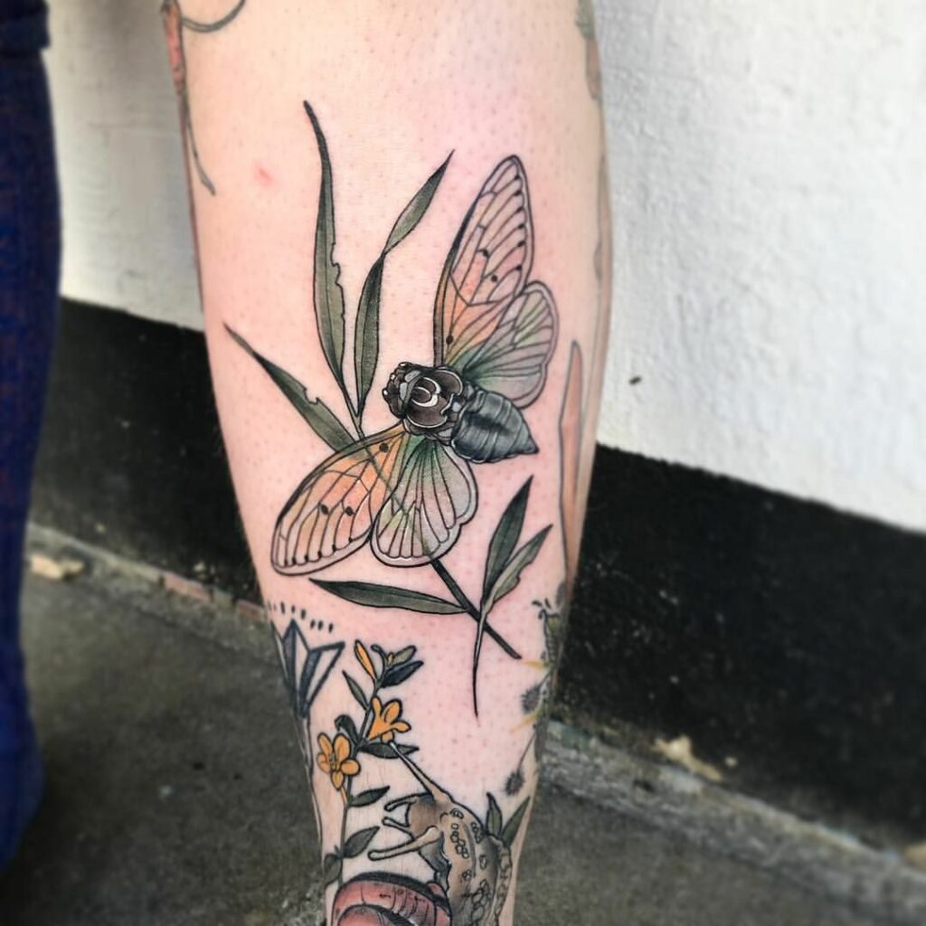 Cicada Tattoos 132