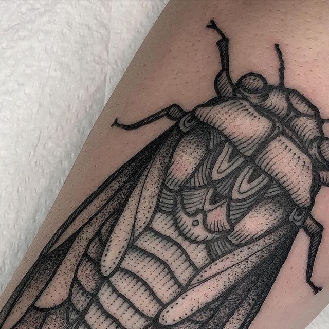 Cicada Tattoos 134