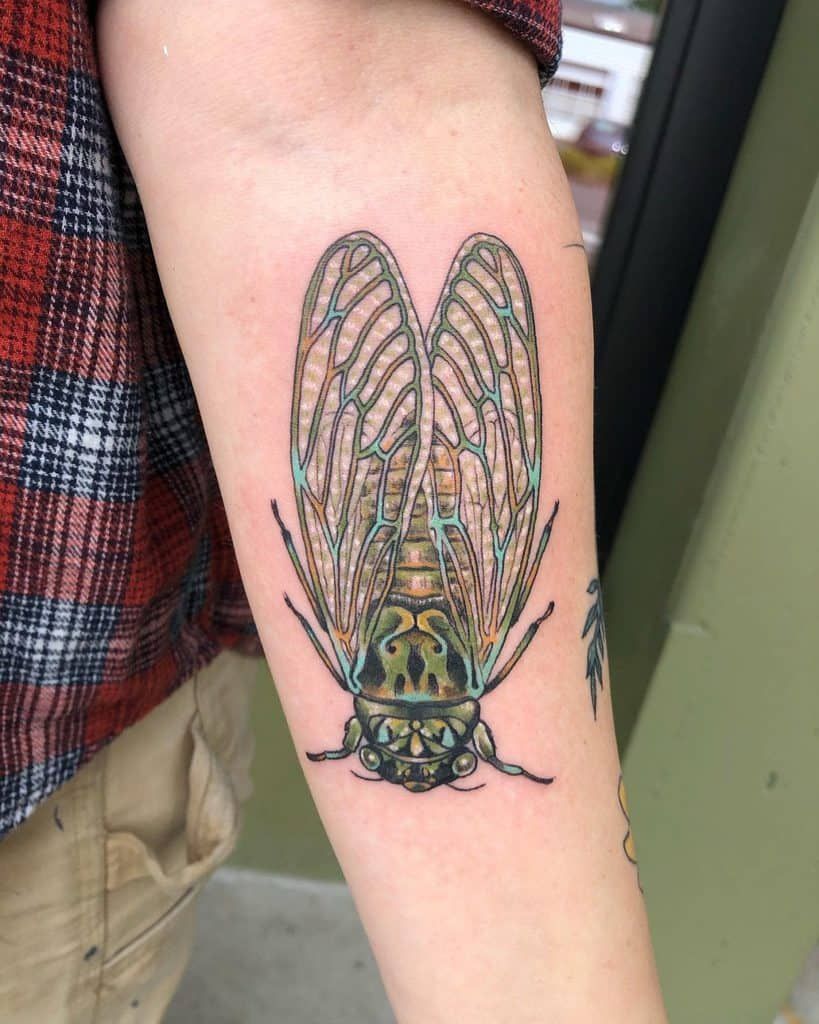 Cicada Tattoos 137