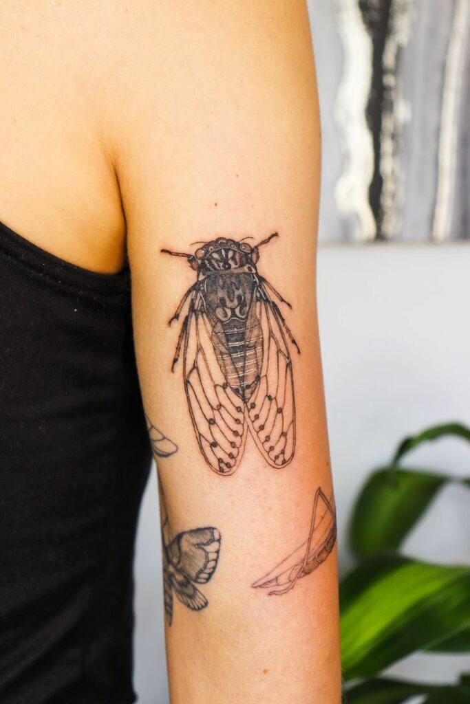 Processed With VSCO With Al5 Preset