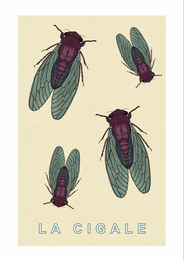 Cicada Tattoos 148