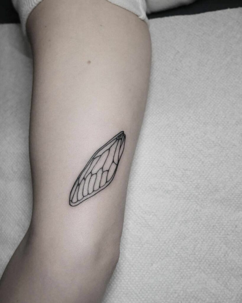 Cicada Tattoos 149