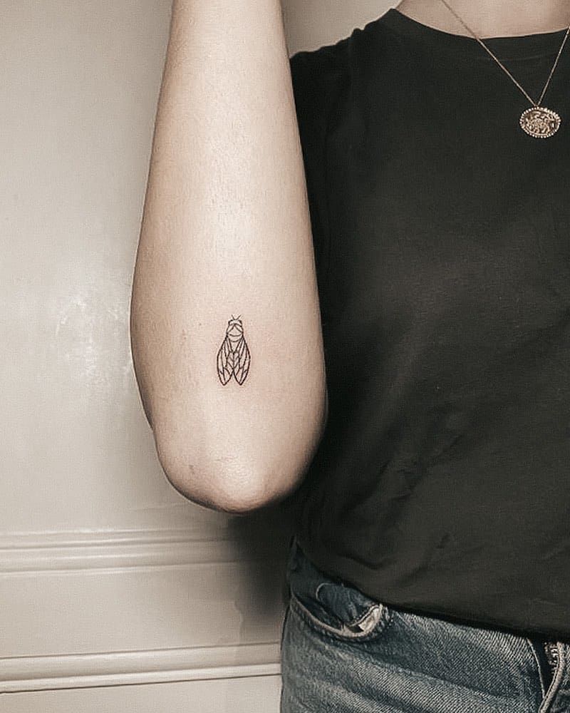 Cicada Tattoos 154