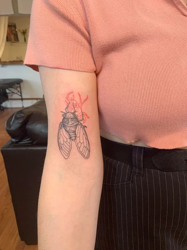 Cicada Tattoos 161