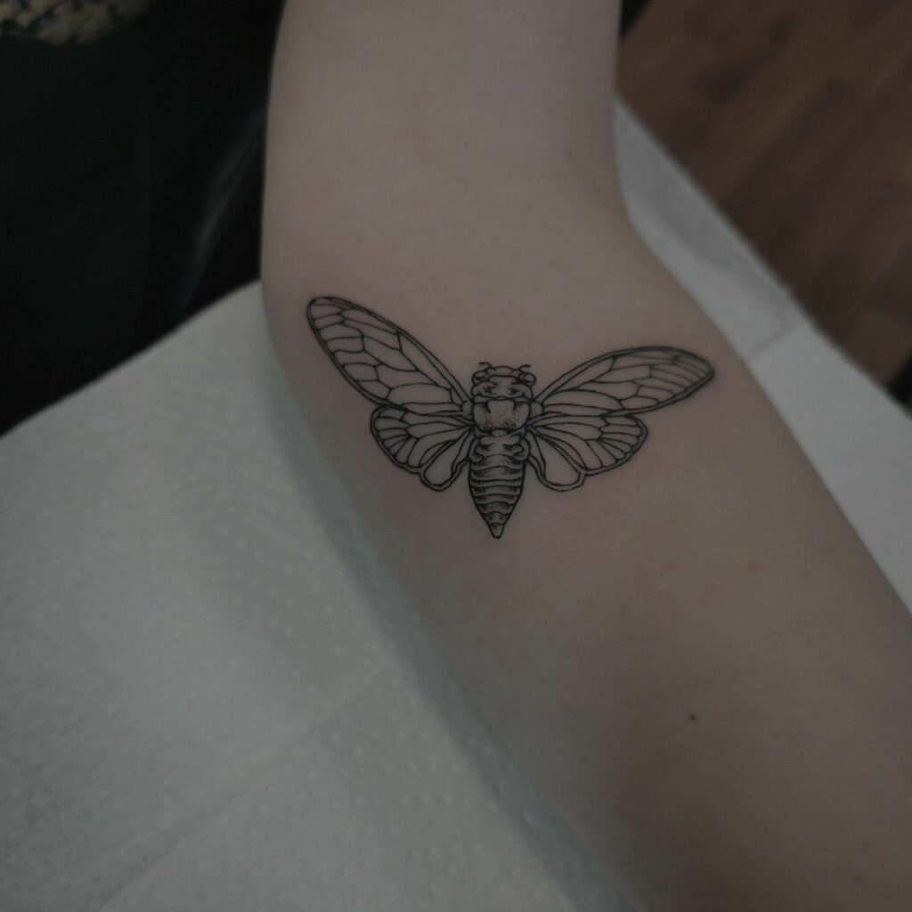 Cicada Tattoos 164