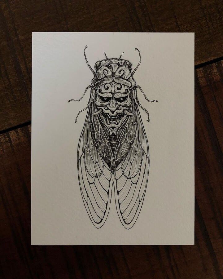 Cicada Tattoos 169