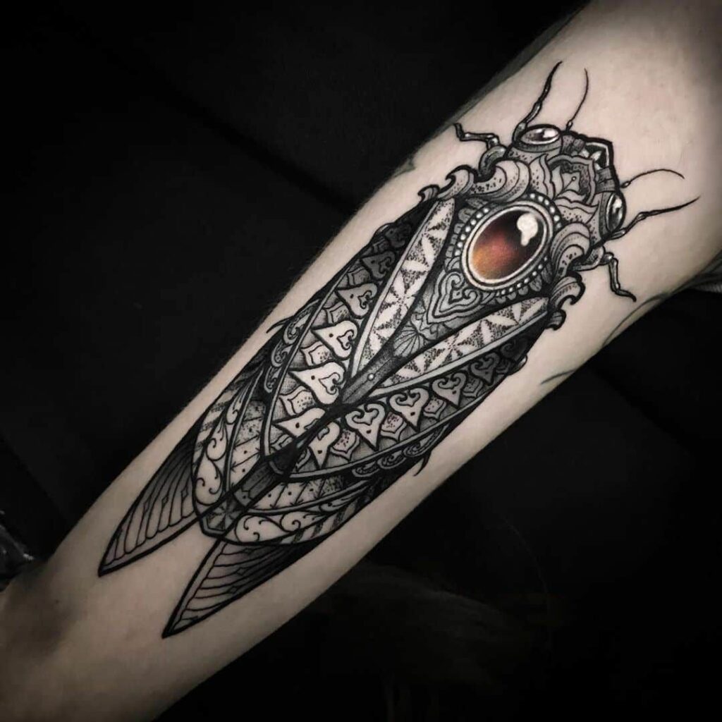 Cicada Tattoos 175