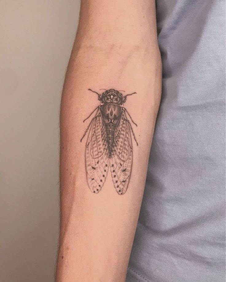 Cicada Tattoos 178