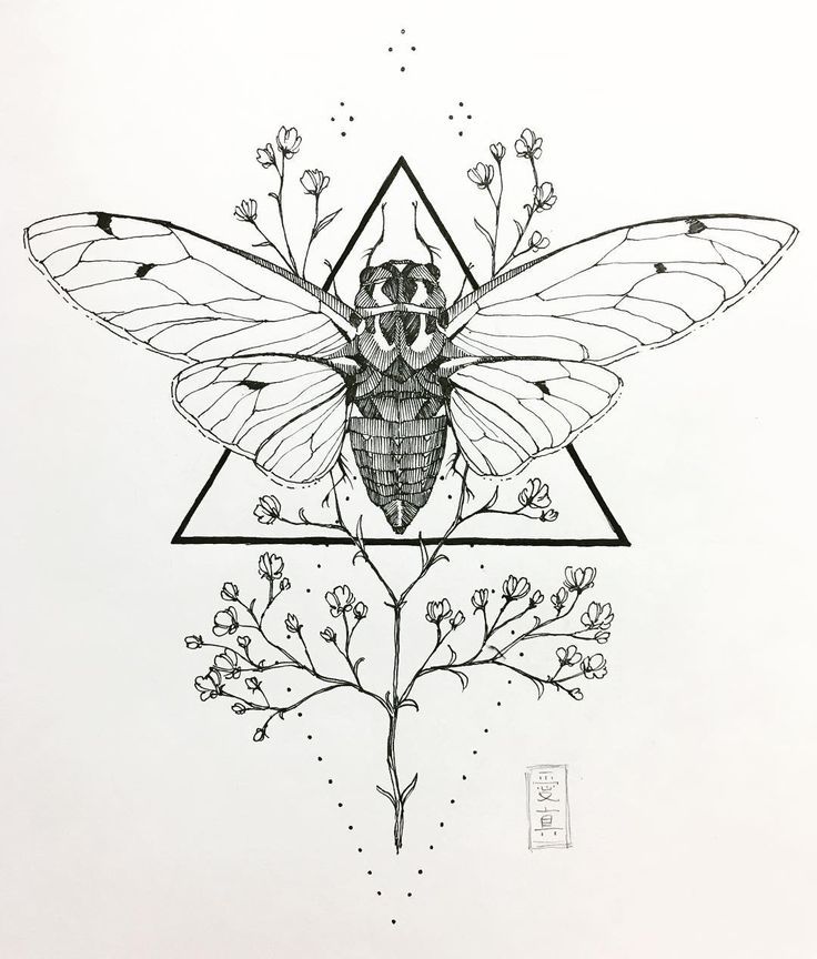 Cicada Tattoos 185