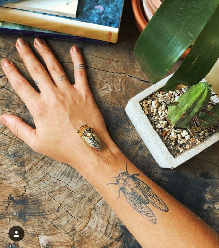 Cicada Tattoos 30