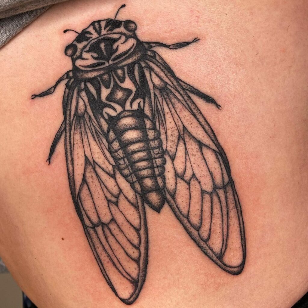 Cicada Tattoos 44