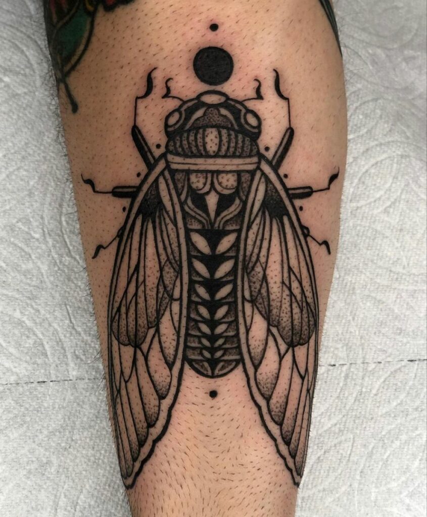Cicada Tattoos 51