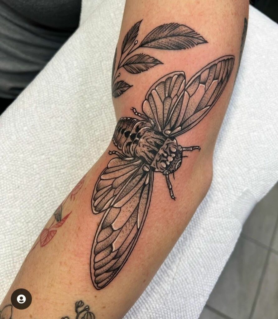 Cicada Tattoos 53