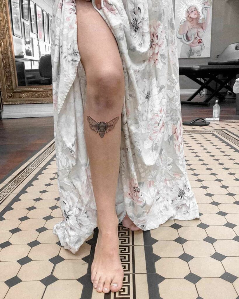 Cicada Tattoos 63