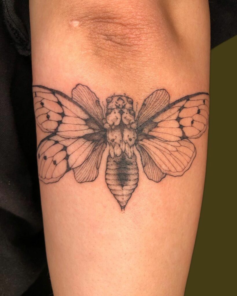 Cicada Tattoos 67