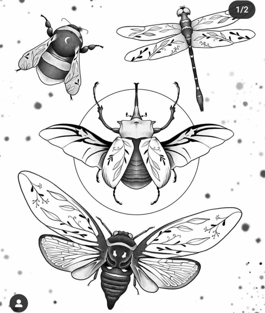 Cicada Tattoos 70