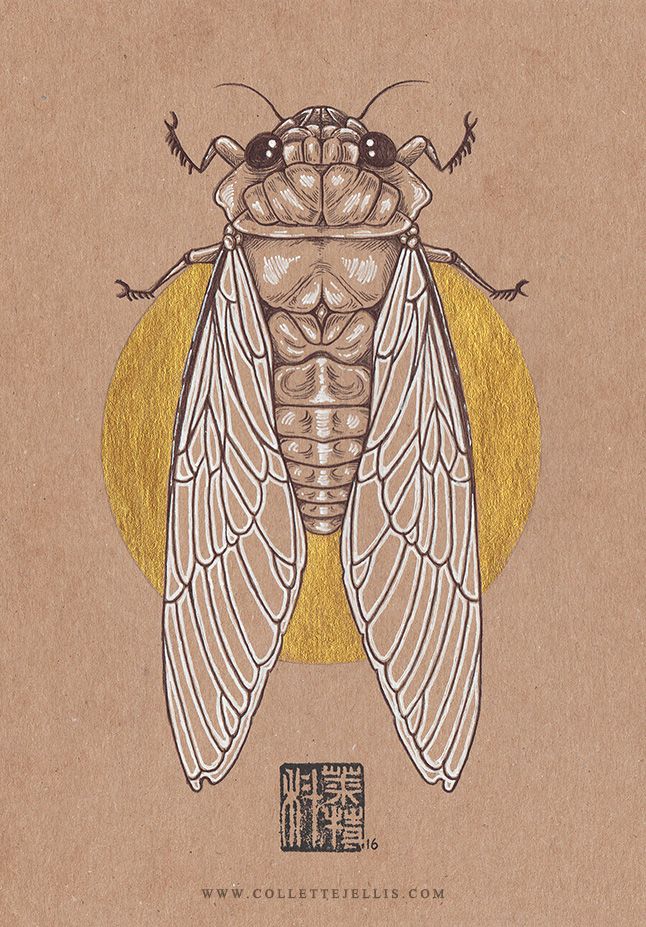 Cicada Tattoos 72